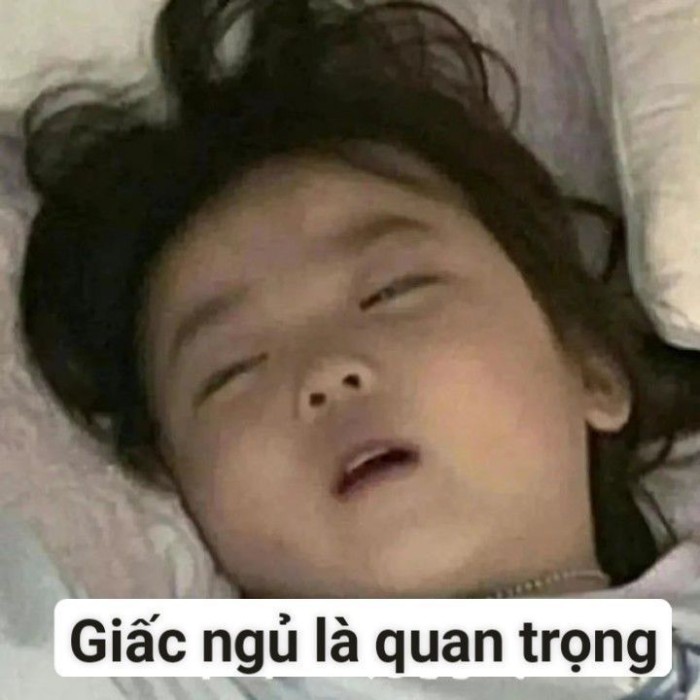 meme chúc ngủ ngon