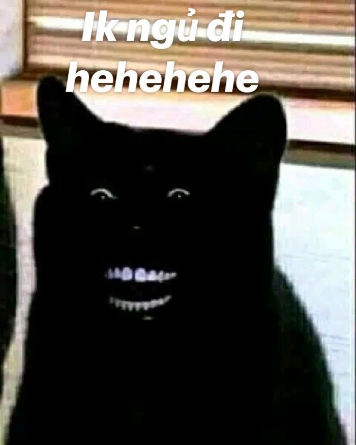 meme chúc ngủ ngon