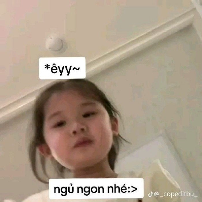 meme chúc ngủ ngon