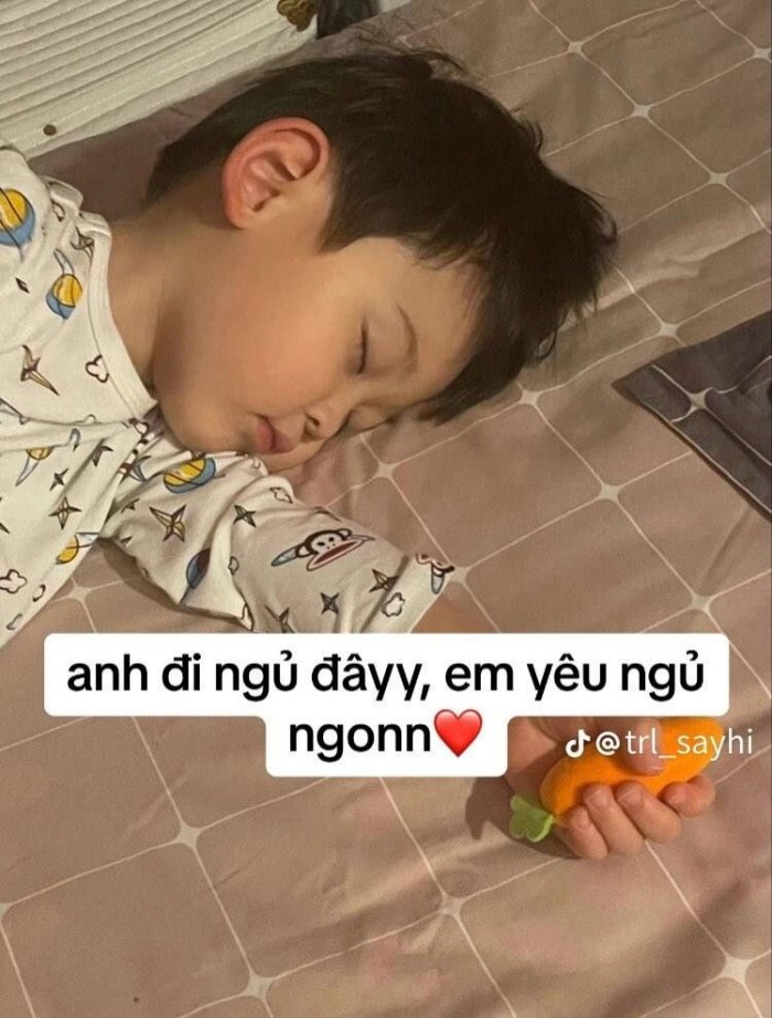 meme chúc ngủ ngon