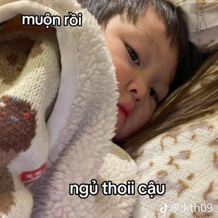 meme chúc ngủ ngon