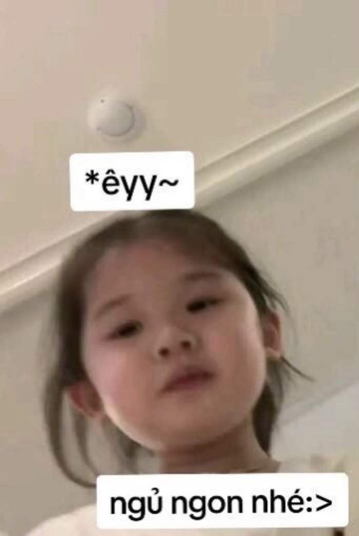 meme chúc ngủ ngon