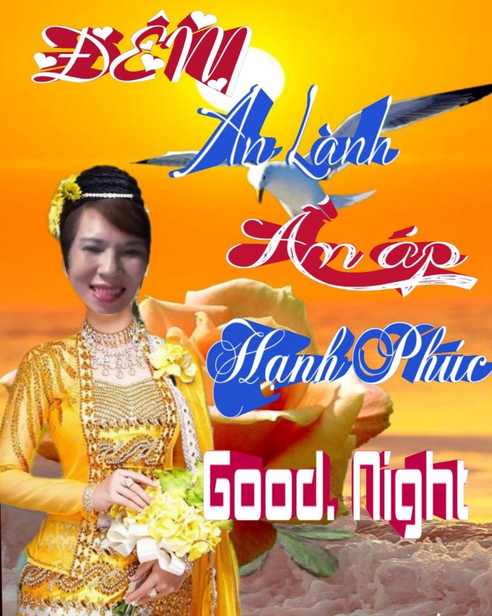meme chúc ngủ ngon