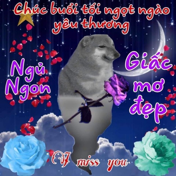 meme chúc ngủ ngon