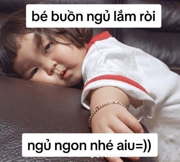 meme chúc ngủ ngon