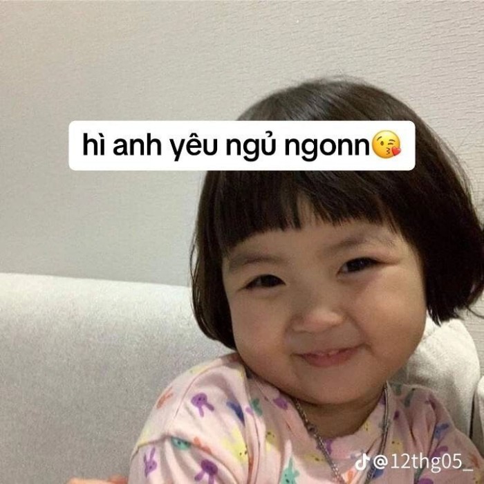 meme chúc ngủ ngon