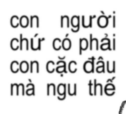 meme chửi