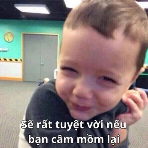 meme chửi