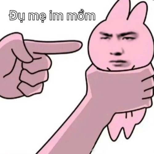 meme chửi