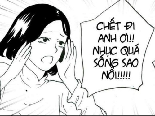 meme chửi
