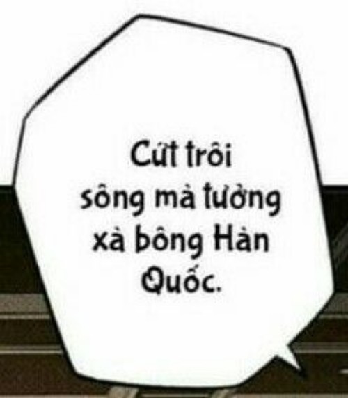 meme chửi