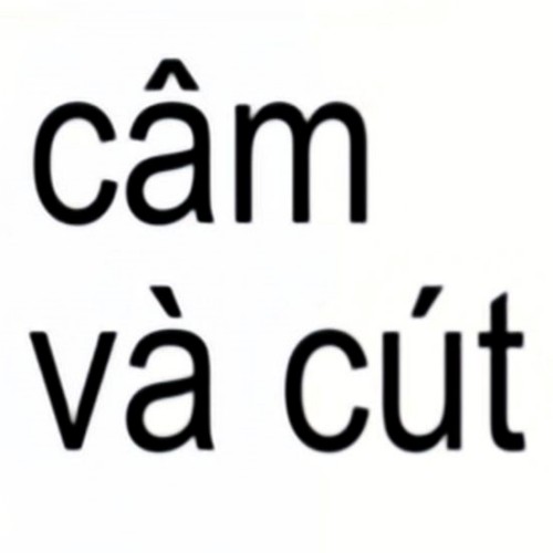 meme chửi