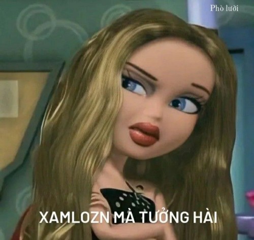 meme chửi