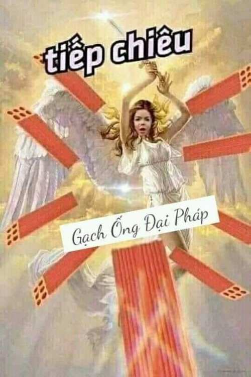 meme chửi