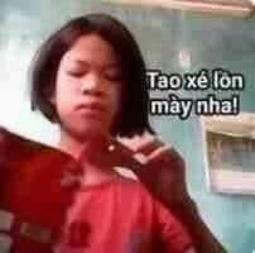 meme chửi