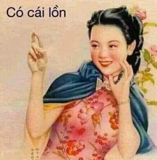 meme chửi