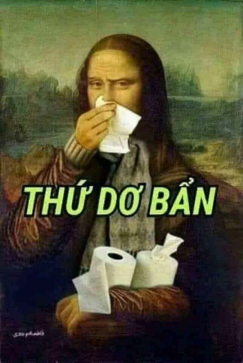 meme chửi