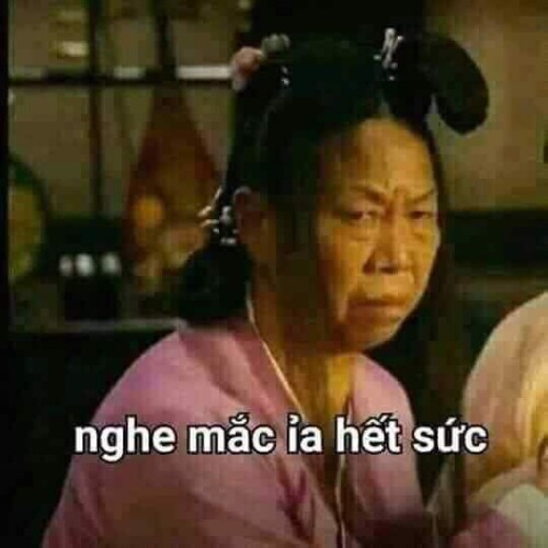meme chửi