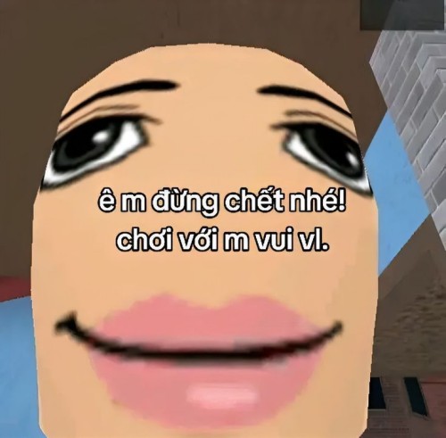 meme chửi