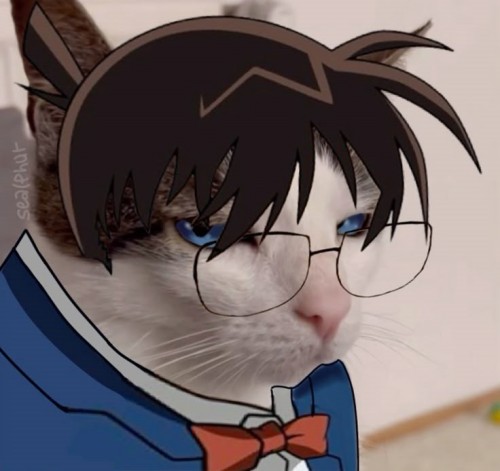 meme Conan