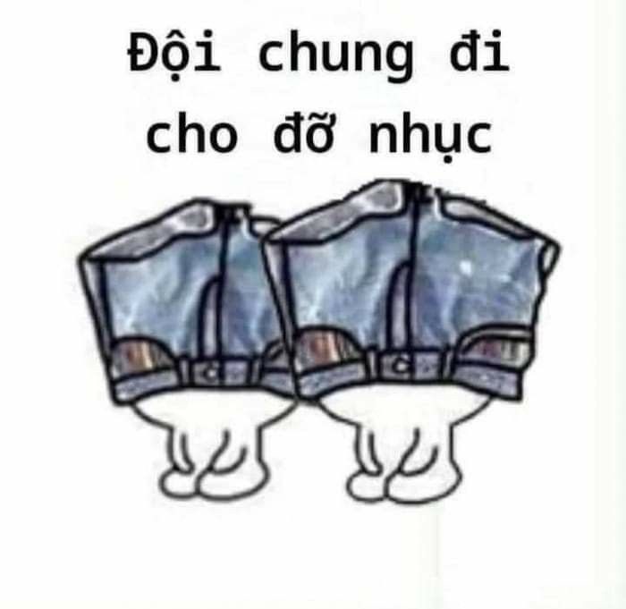 meme đội quần