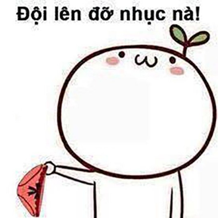 meme đội quần