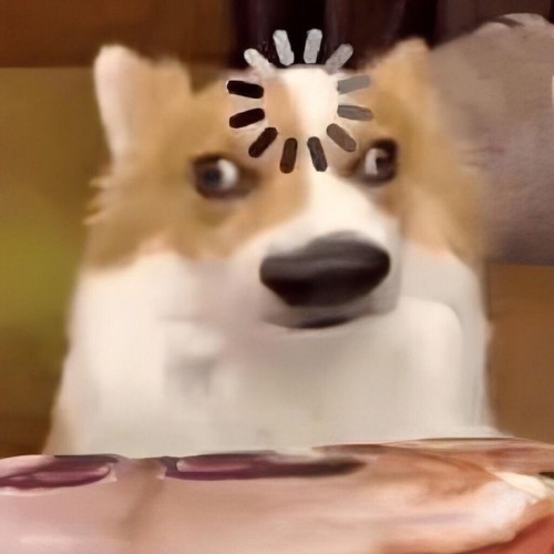 meme khó hiểu