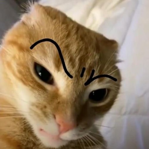 meme nghi ngờ