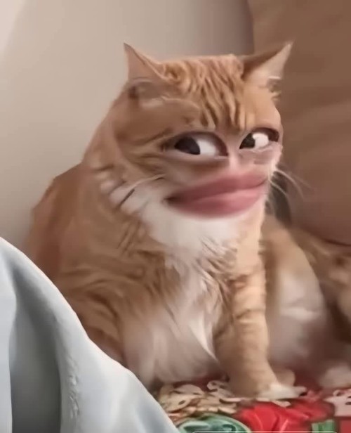 meme nghi ngờ