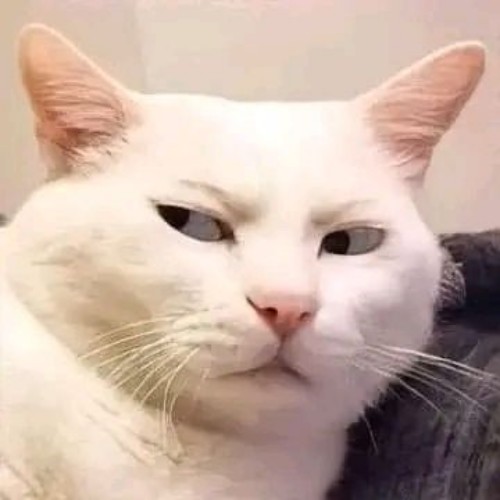 meme nghi ngờ