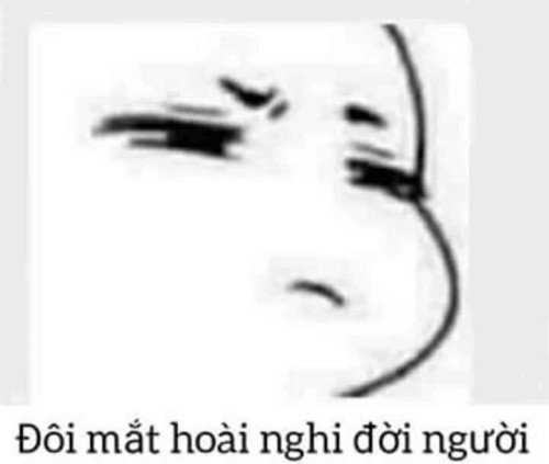 meme nghi ngờ