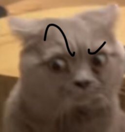 meme nghi ngờ