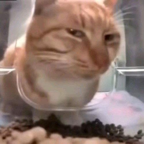 meme nghi ngờ