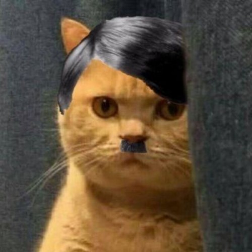 hitler meme