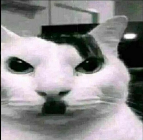 hitler meme