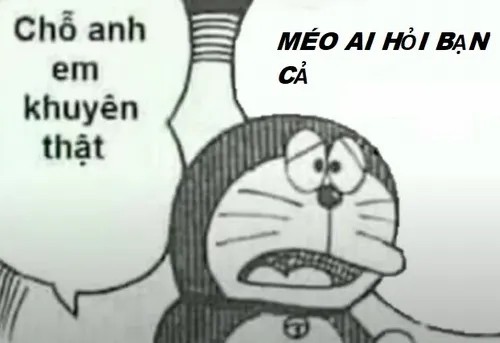 meme ai hỏi