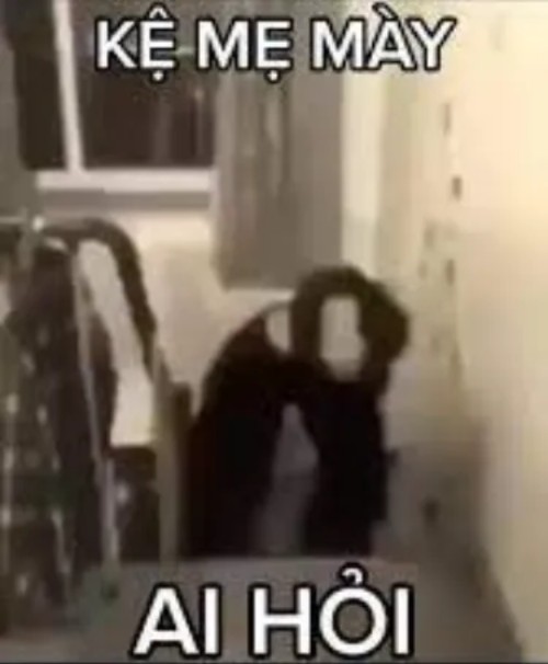 meme ai hỏi