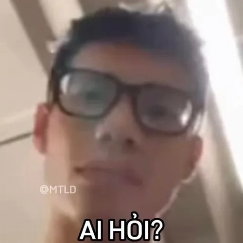 meme ai hỏi