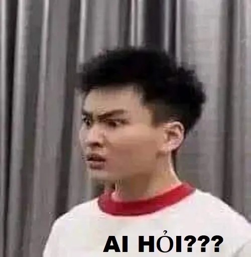 meme ai hỏi