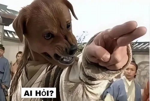 meme ai hỏi