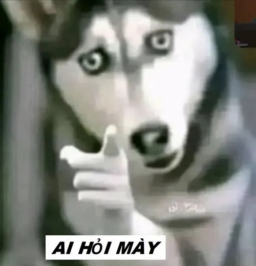 meme ai hỏi