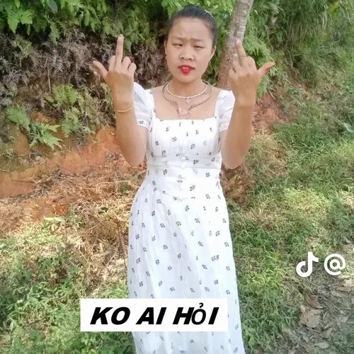 meme ai hỏi