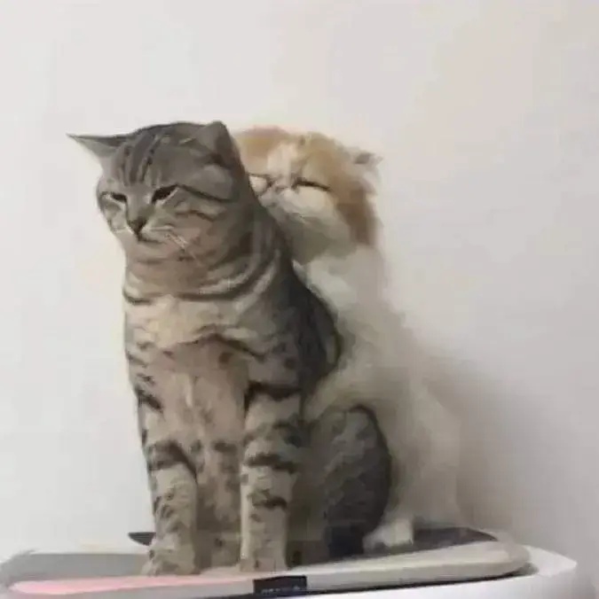 Meme An Ủi