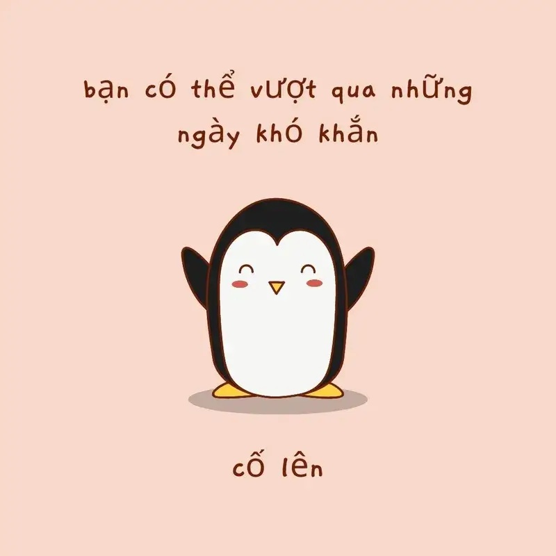 Meme An Ủi