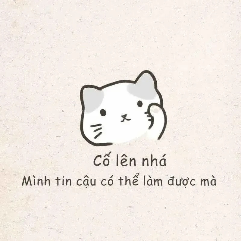 Meme An Ủi