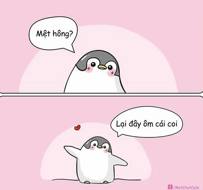 Meme An Ủi