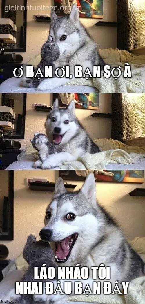 meme bạn sợ à