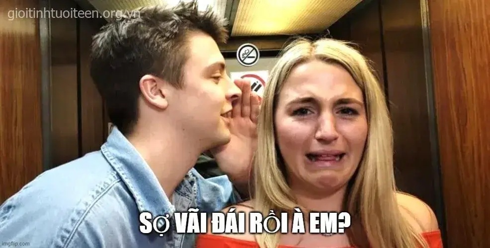 meme bạn sợ à