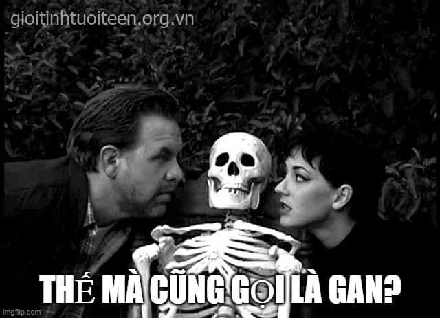 meme bạn sợ à