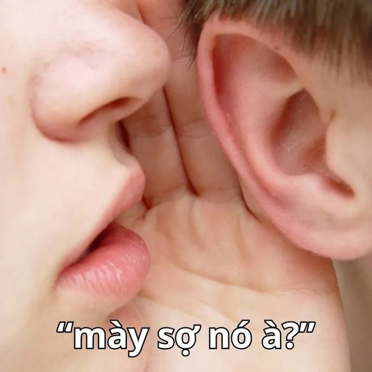 meme bạn sợ à